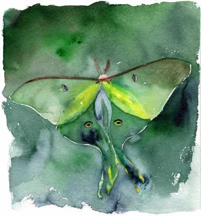 Click painting to link to Heron Dance web page